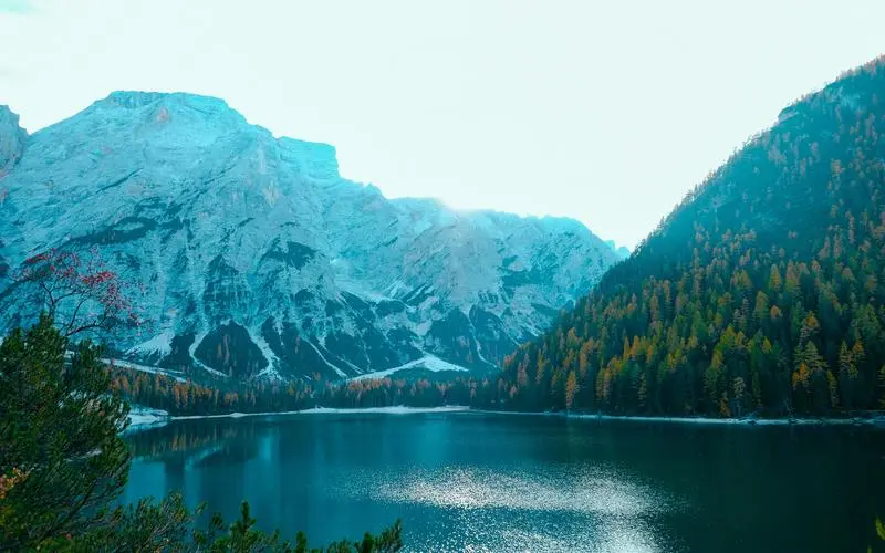 高效高端